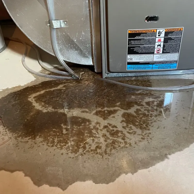 Pipe Burst and Leak Restoration in Owings Mills, MD